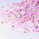 Sprinkle Pop Pink Velvet Sprinkle Mix 4oz