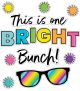 This Is One Bright Bunch Bulletin Board Set