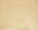 Gold Glitter Poster Board 10.5x19