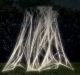 Glow in The Dark Spider Web