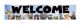 Go Wild Animals Welcome Banner