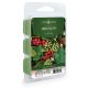 Holly & Ivy Classic Wax Melts 2.5oz