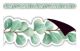 Eucalyptus Die-Cut Magnetic Border