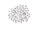 Alphabet Beads White with Black Letters 6mm Cubed