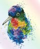 Diamond Dotz Rainbow Feathers