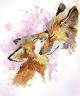 Diamond Dotz Fox Bliss