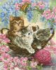 Diamond Dotz Kitty Knits