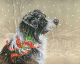 Diamond Dotz Christmas Collie