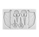 Large Bat Wings Silicone Mold