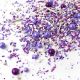 Sprinkle Pop Perfectly Purple Sprinkle Mix 4oz