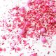 Sprinkle Pop Pink Ombre Sprinkle Mix 4oz