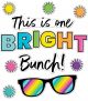This Is One Bright Bunch Bulletin Board Set