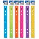 Jeweltones Color Ruler 12