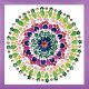 Zendazzle Kaleidoscope Picture Kit 10x10