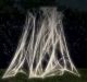 Glow in The Dark Spider Web