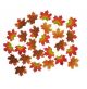 Fall Maple Leaves