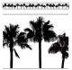 Coco Palms Straight Border Trim