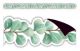 Eucalyptus Die-Cut Magnetic Border
