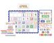 Color Crush Calendar Bulletin Board
