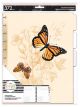 Happy Planner Papillon Butterfly Big Daily Extension Pack