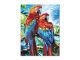 Parrots Diamond Painting Art Kit 12x16