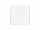 Artist Quality Primed Canvas Panels 8x8