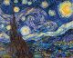 Diamond Dotz Starry Night Van Gogh