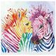 Rainbow Zebras Diamond Dotz