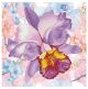 Sparkle Garden Mauve Diamond Dotz with Frame