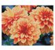 Peach Dahlias Diamond Dotz with Frame