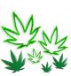 Marijuana Cannabis Leaf Cutter Set 3pc