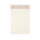 Planner Pad Pink Notes 5.5×8.25